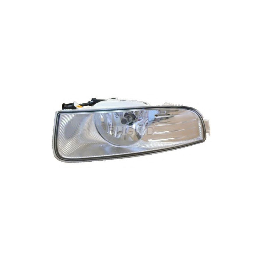 Bugiad BSP23840 Fog Light For Skoda Superb
