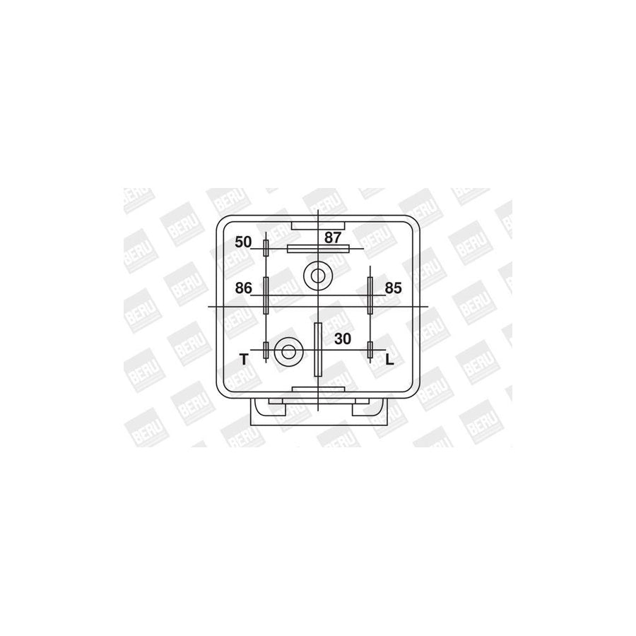 Beru DH206 Nozzle And Holder Assembly