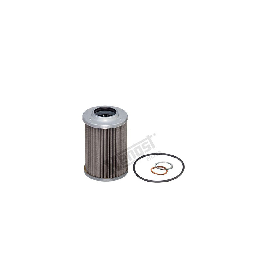 Hengst Filter E39H D119 Oil Filter