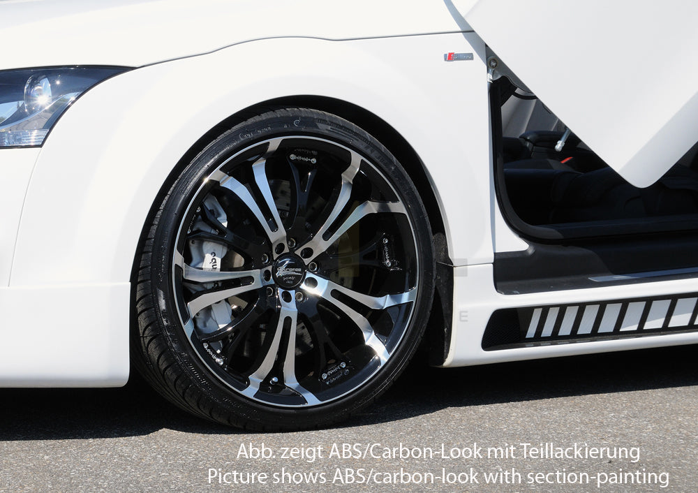 Rieger 00099045 Audi 8J TT Side Skirt 7 | Duco Car Parts UK Car Parts