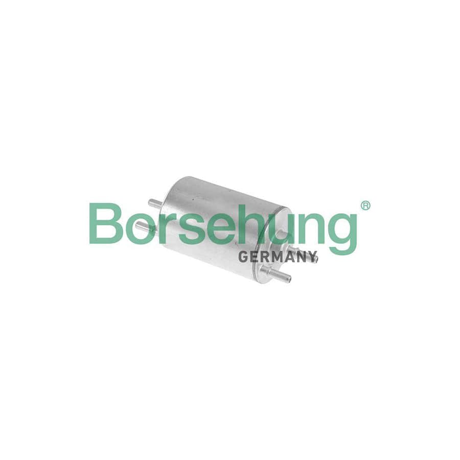 Borsehung B10479 Fuel Filter