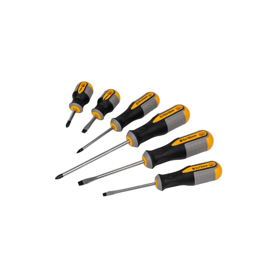 Roughneck ROU22198 Screwdriver Set, 6 Piece | Duco Car Parts UK
