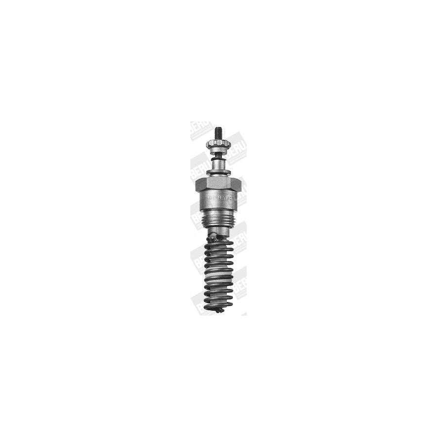 Beru 0135200201 Nozzle And Holder Assembly
