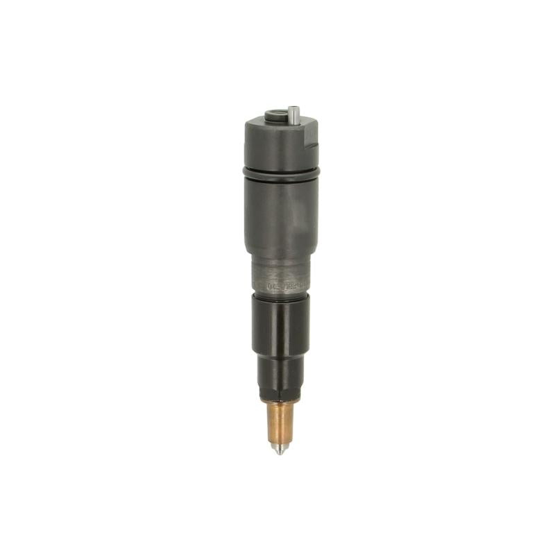 BOSCH 193-481 Injector