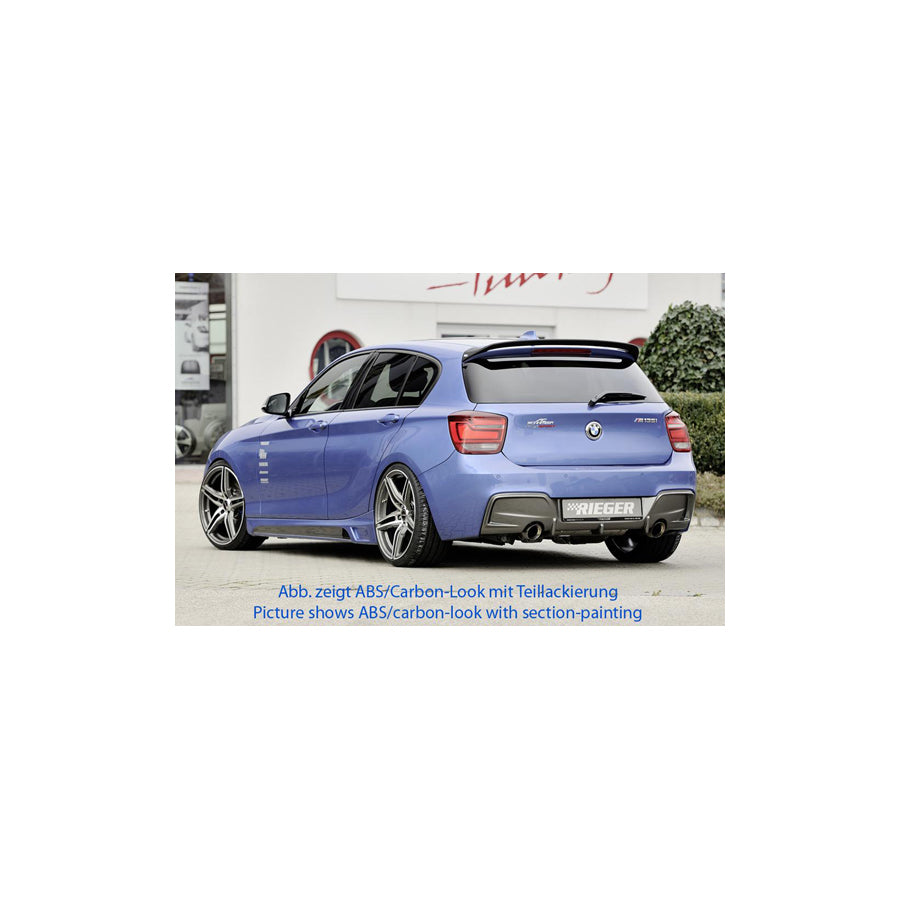 Rieger BMW F20 Sideskirts with Aluminium Mesh Cutout (Inc. 116i, 118i, 120d & M135i)