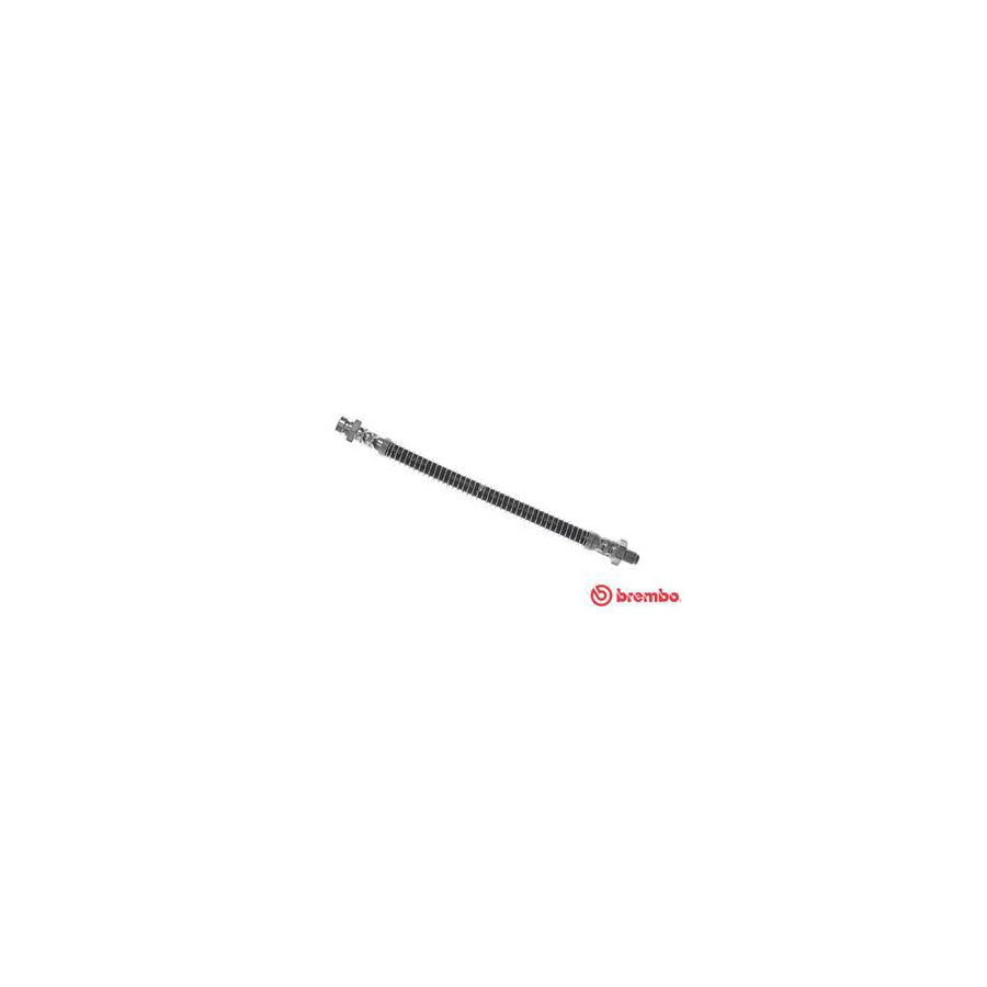 BREMBO T 54 036 Brake Hose 240Mm F10X1