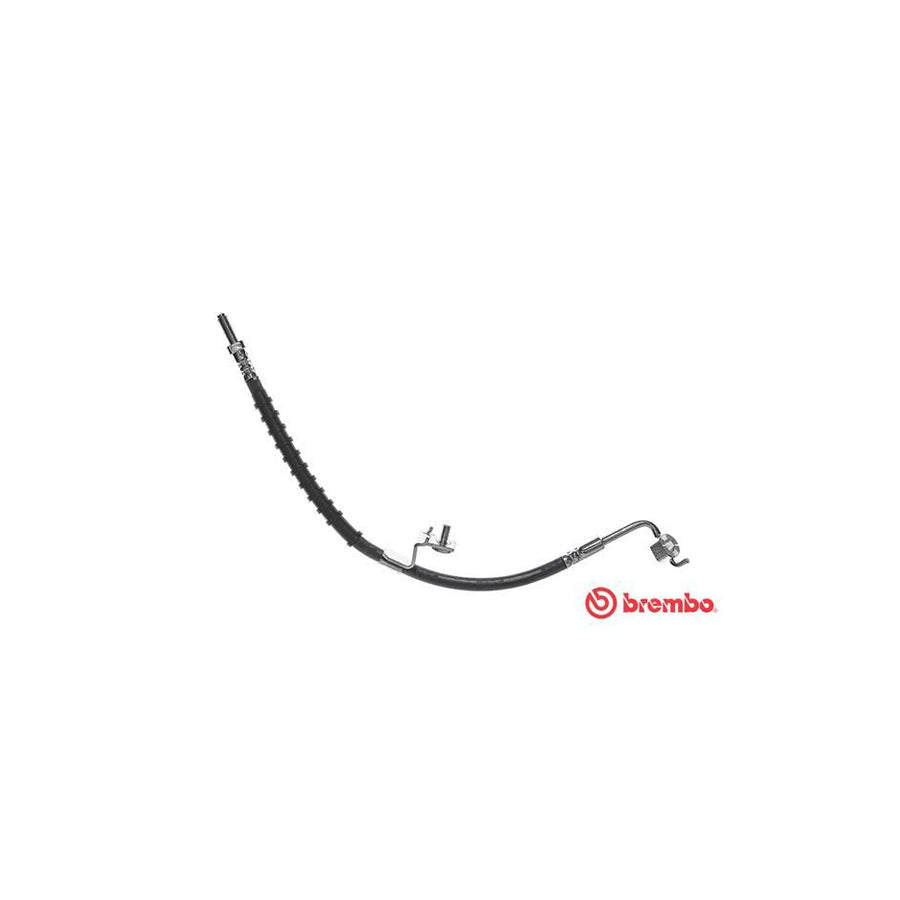 BREMBO T 24 103 Brake Hose 395Mm M10X1
