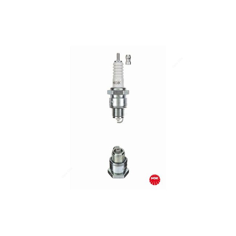 NGK BP8HS (2630) - Standard Spark Plug / Sparkplug - Projected Centre Electrode