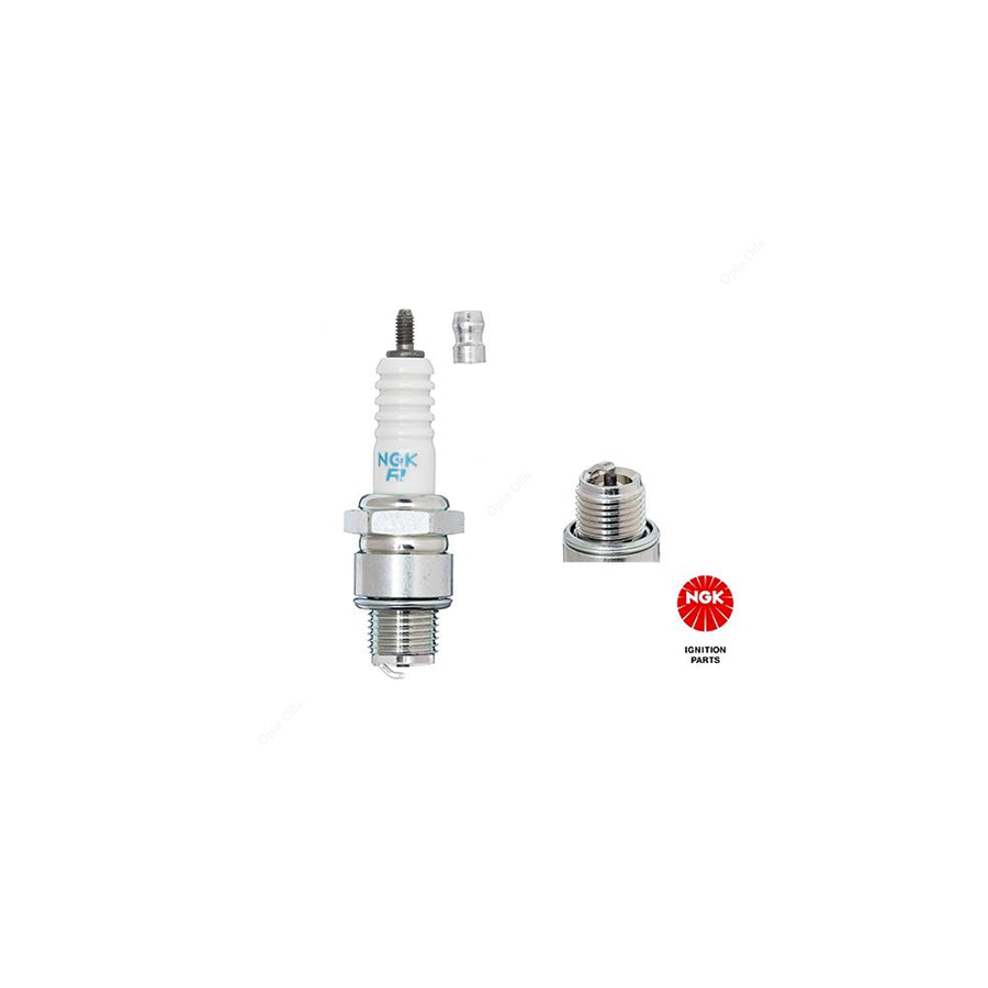 NGK BR8HCS-10 (1157) - Standard Spark Plug / Sparkplug - Angled Ground Electrode