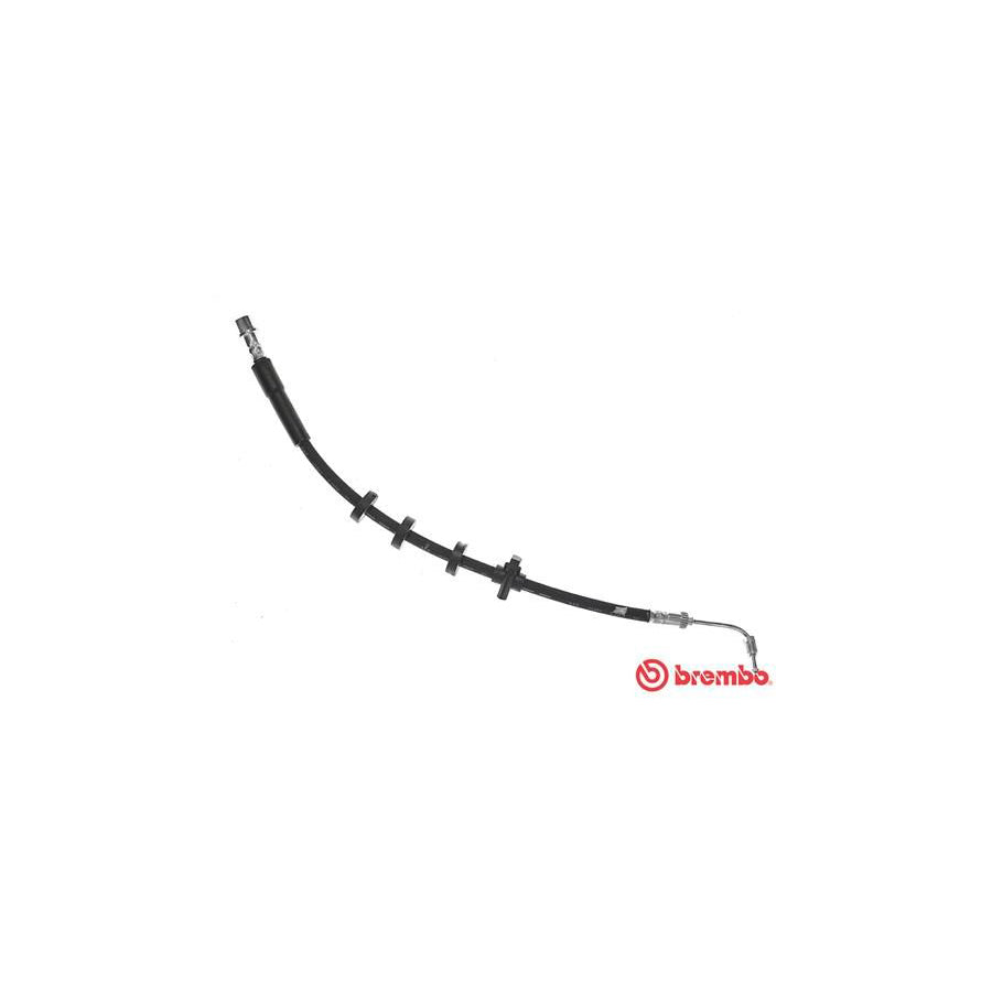 BREMBO T 61 089 Brake Hose for PEUGEOT 406 565Mm M10X1