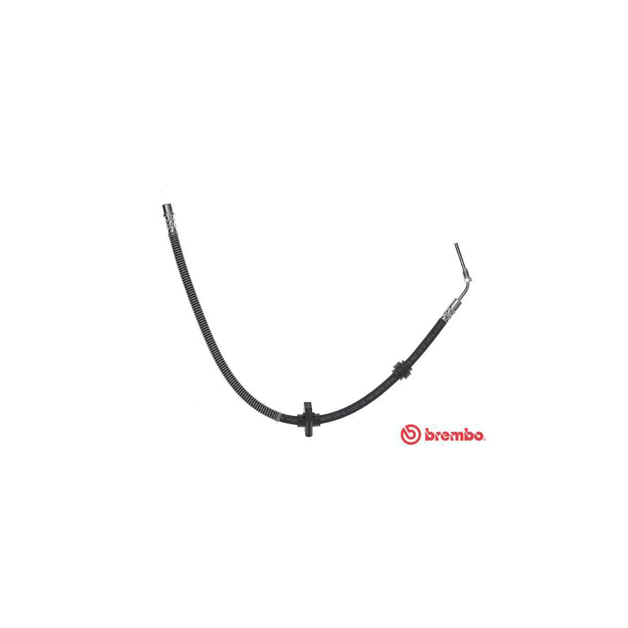 BREMBO T 61 059 Brake Hose 685Mm F10X1