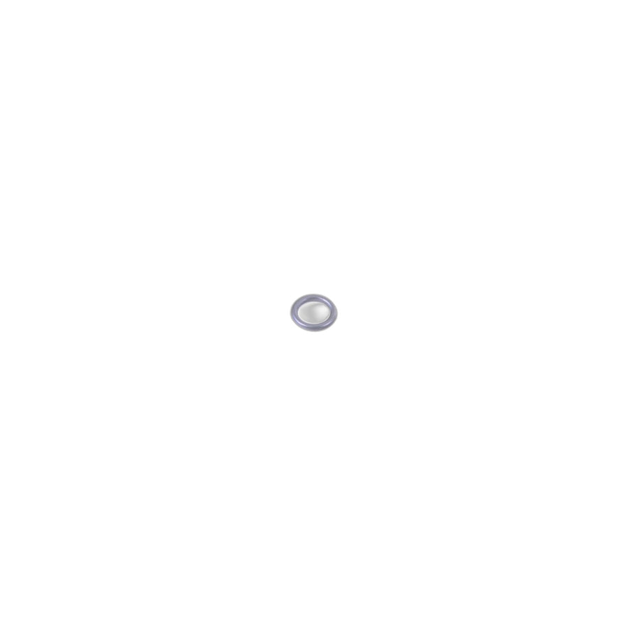 Genuine BMW 64508390600 E65 RR1 Gasket Ring (Inc. 750iLP, 745d & Phantom) | Duco Car Parts UK Car Parts