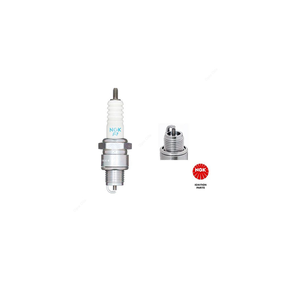 NGK BR6HSA (4296) - Standard Spark Plug / Sparkplug - Projected Centre Electrode