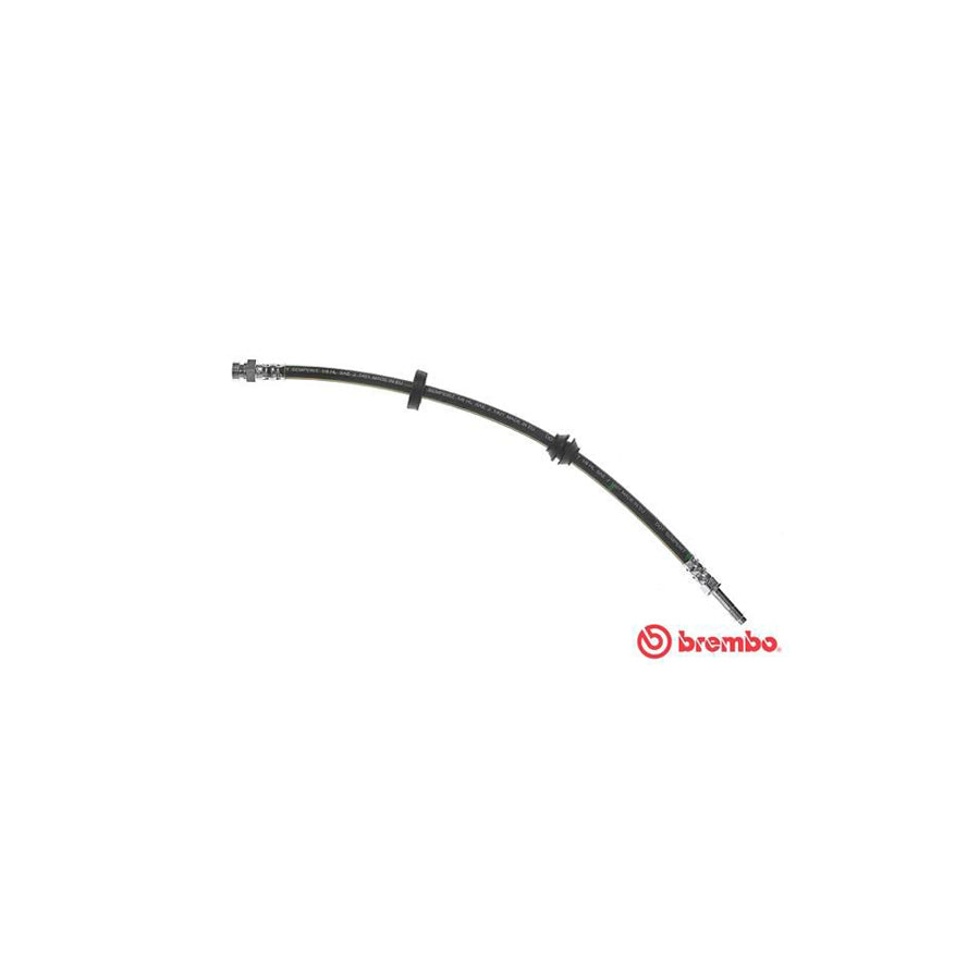 BREMBO T 24 117 Brake Hose 435Mm F10X1