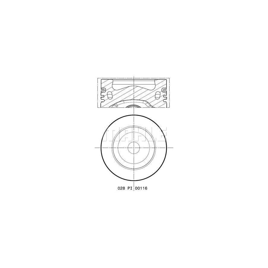 MAHLE ORIGINAL 028 PI 00116 002 Piston 81,51 mm, with cooling duct, with piston ring carrier