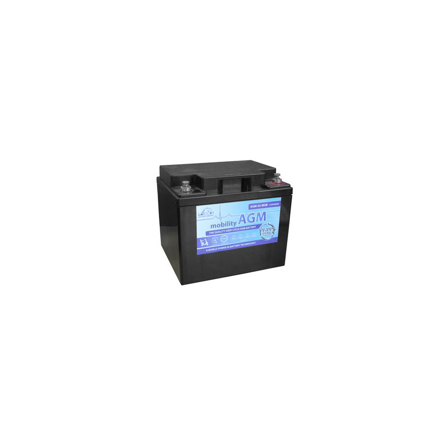Leoch AGM 42 Mobility Battery 12V 42Ah