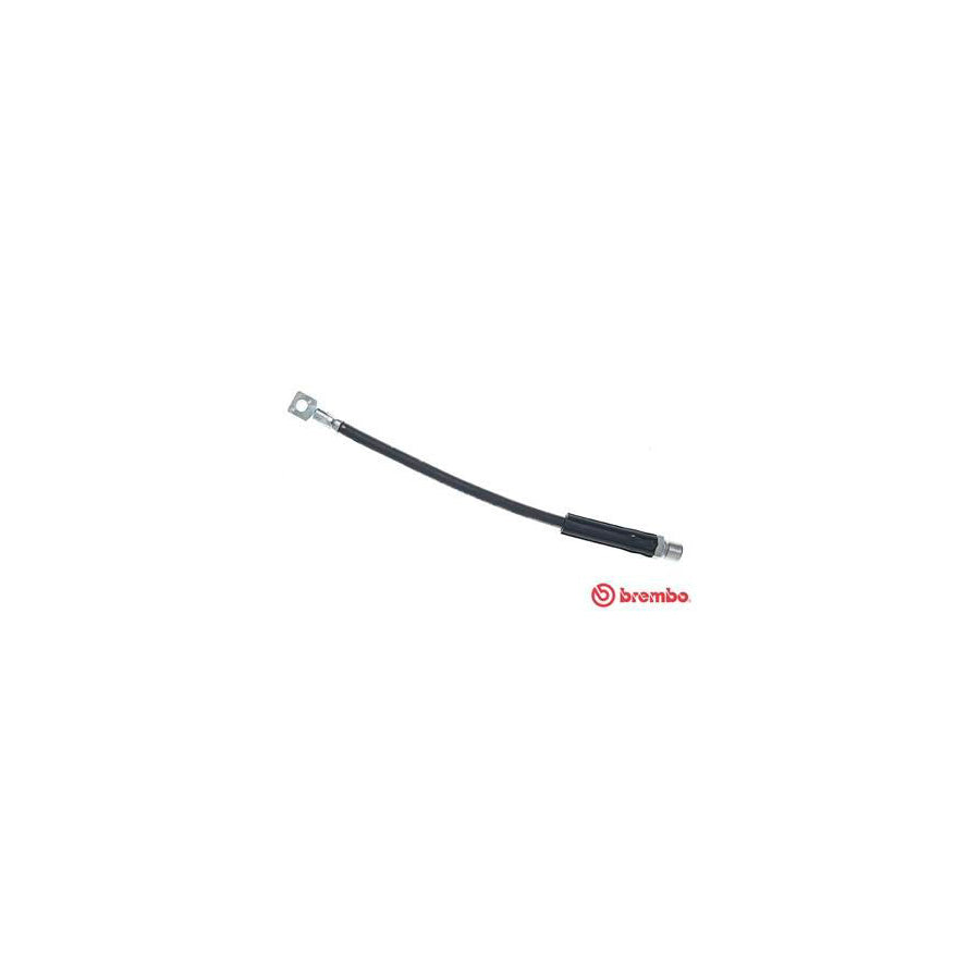 BREMBO T 59 006 Brake Hose 340Mm F10X1