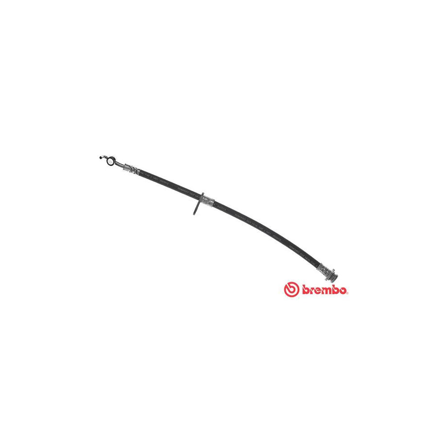 BREMBO T 23 197 Brake Hose 405Mm F10X1