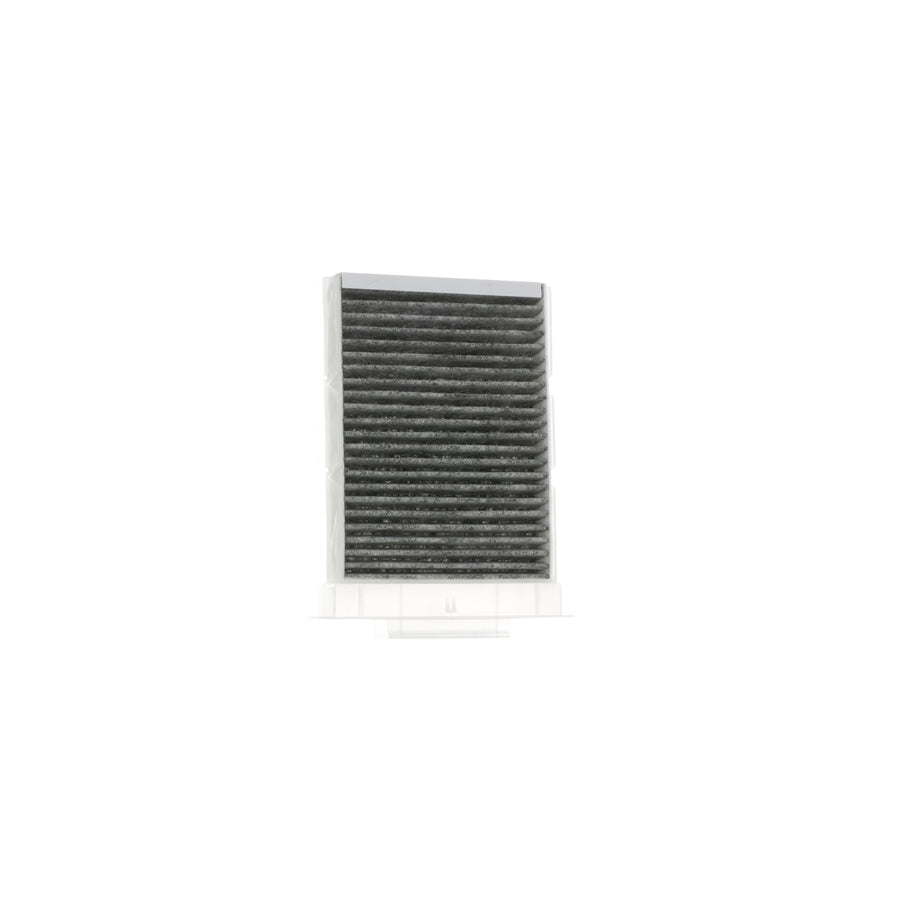 Ridex 424I0252 Pollen Filter | Duco Car Parts UK Car Parts