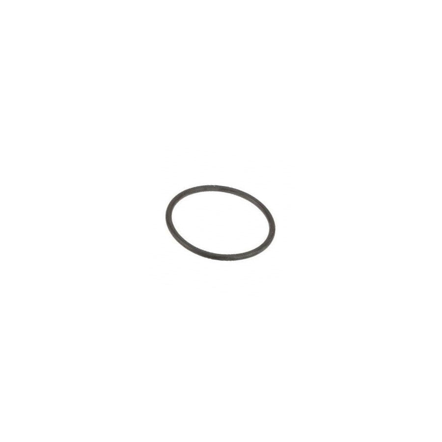 Genuine BMW N55 E82 F10 F20 F30 Engine Coolant Pipe O-ring (Inc. M135i, 335i, 640i & X6 35ix)