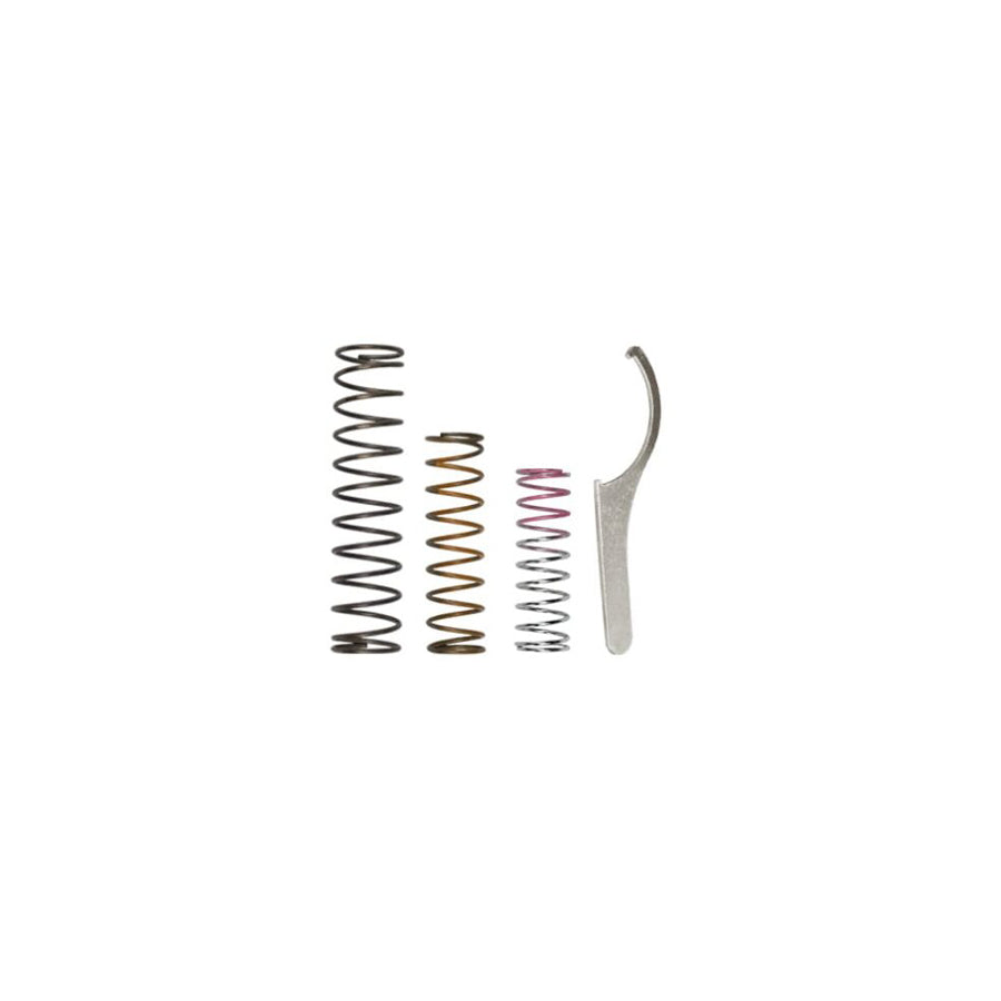 Turbosmart TS-0204-2104 BOV RacePort Spring System | Duco Car Parts UK Car Parts