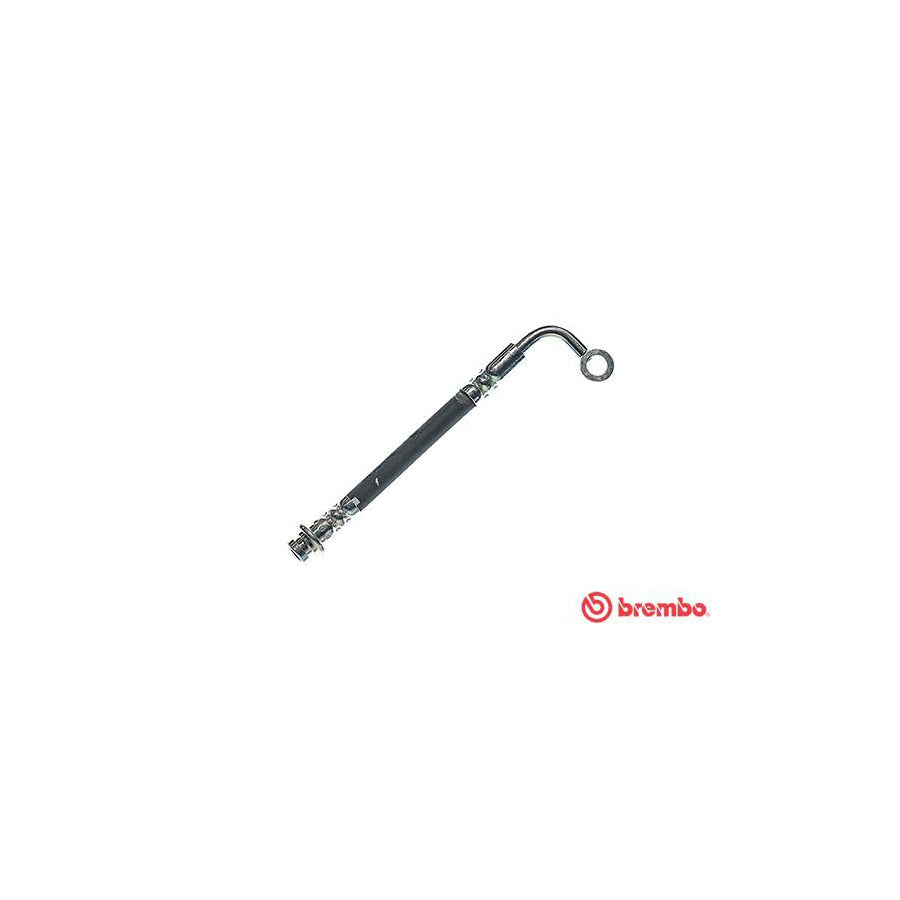 BREMBO T 56 121 Brake Hose for NISSAN PRIMERA 170Mm 10