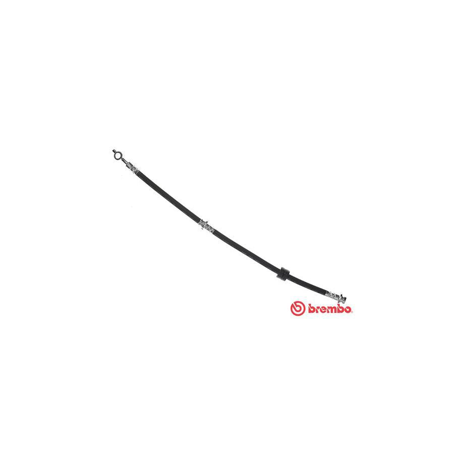 BREMBO T 56 137 Brake Hose for NISSAN Almera Tino V10 500Mm F10X1