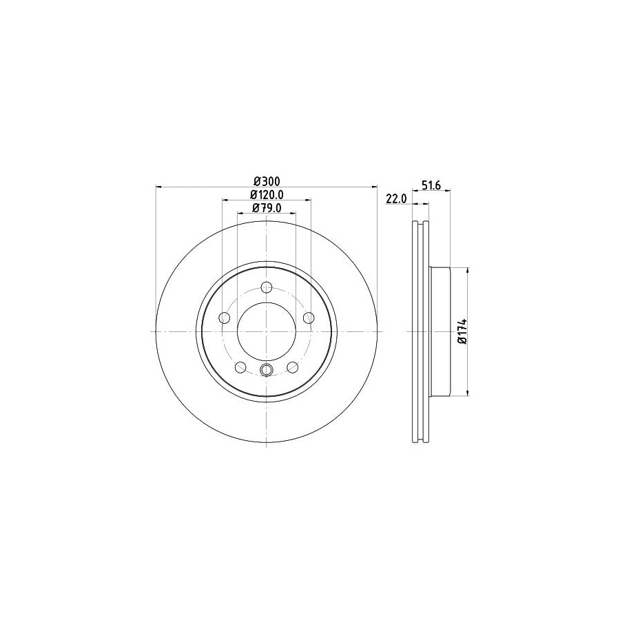 HELLA PRO High Carbon 8DD 355 127 391 Brake Disc Internally Vented Coated High carbon without wheel hub without wheel studs