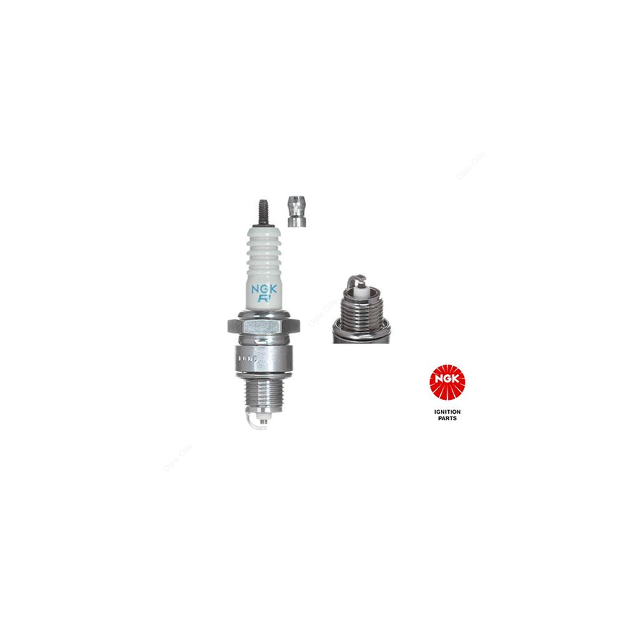 NGK BPR8HS (3725) - Standard Spark Plug / Sparkplug - Projected Centre Electrode