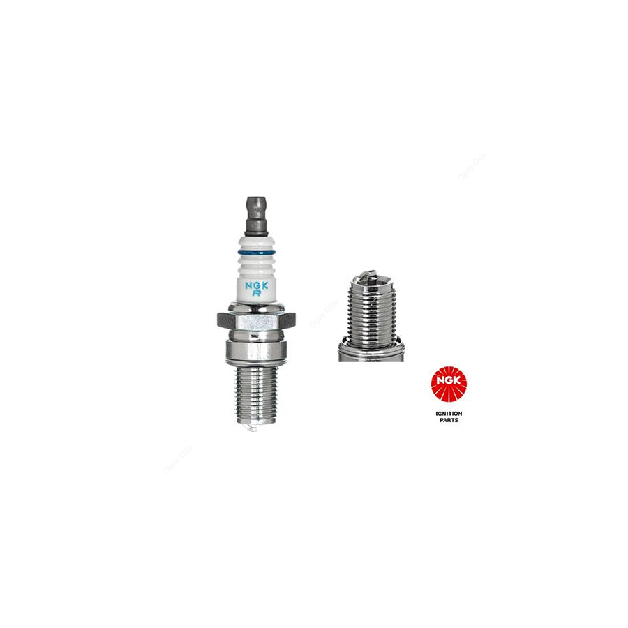 NGK BR8ECM (3035) - Standard Spark Plug / Sparkplug - Angled Ground Electrode