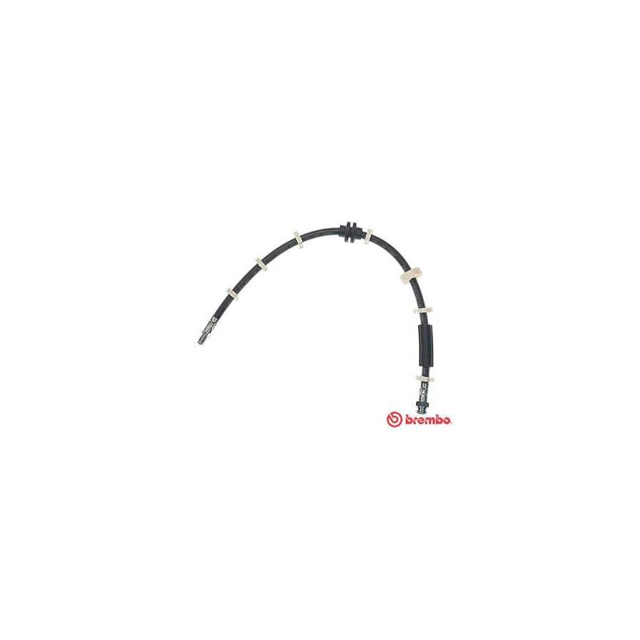 BREMBO T 23 031 Brake Hose 560Mm F10X1