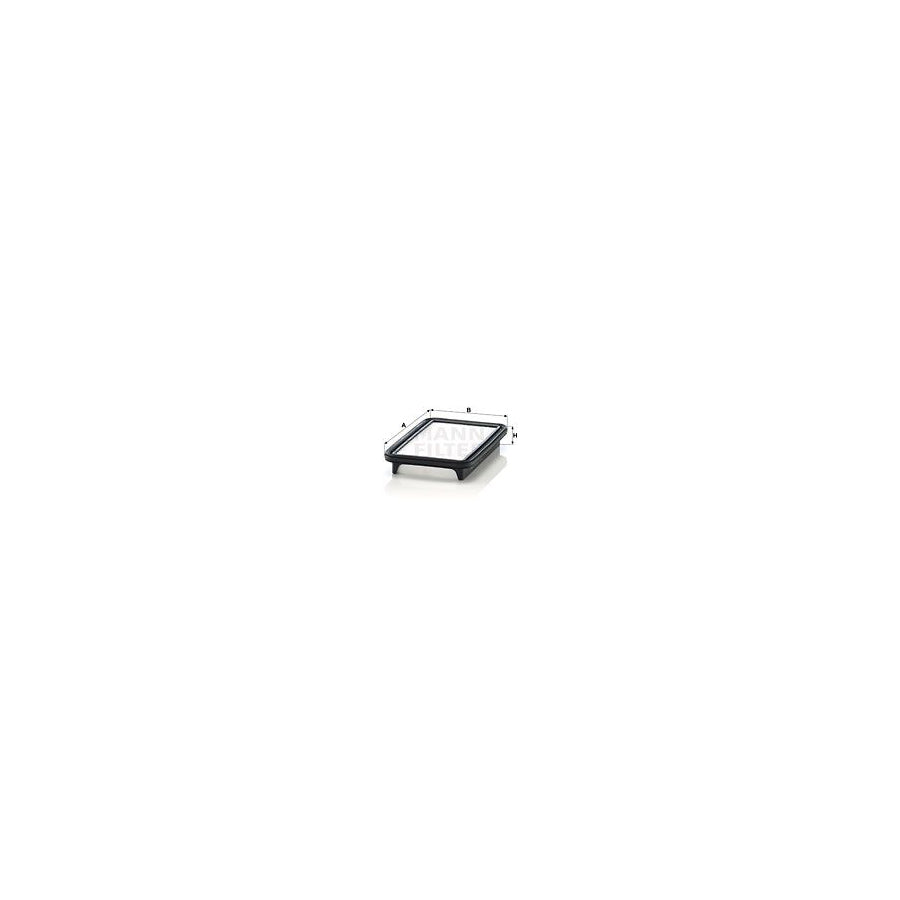 MANN-FILTER C 24 019 Air Filter Filter Insert