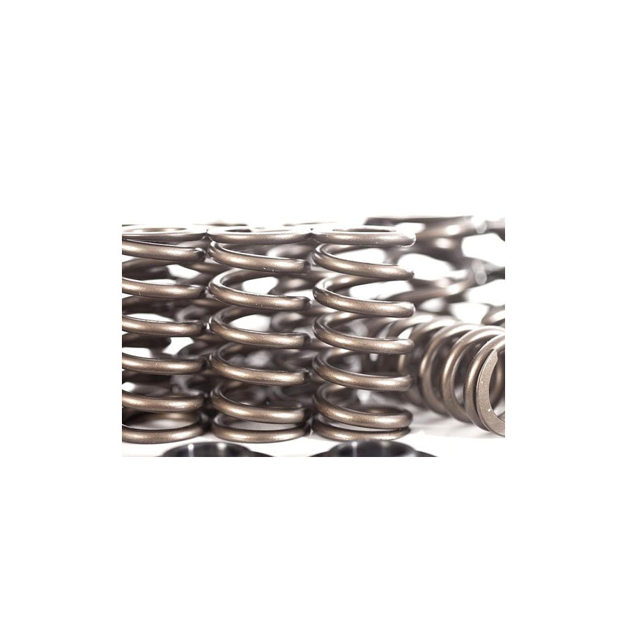 Integrated Engineering Ferrea Audi VW 1.8T Valve Spring/Retainer Kit