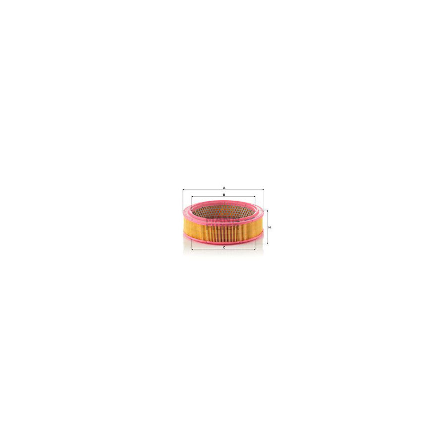 MANN-FILTER C 2443/1 Air Filter Filter Insert