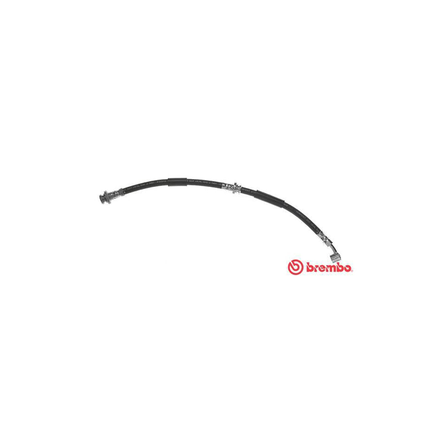 BREMBO T 56 153 Brake Hose for NISSAN PRIMERA 425Mm F10X1