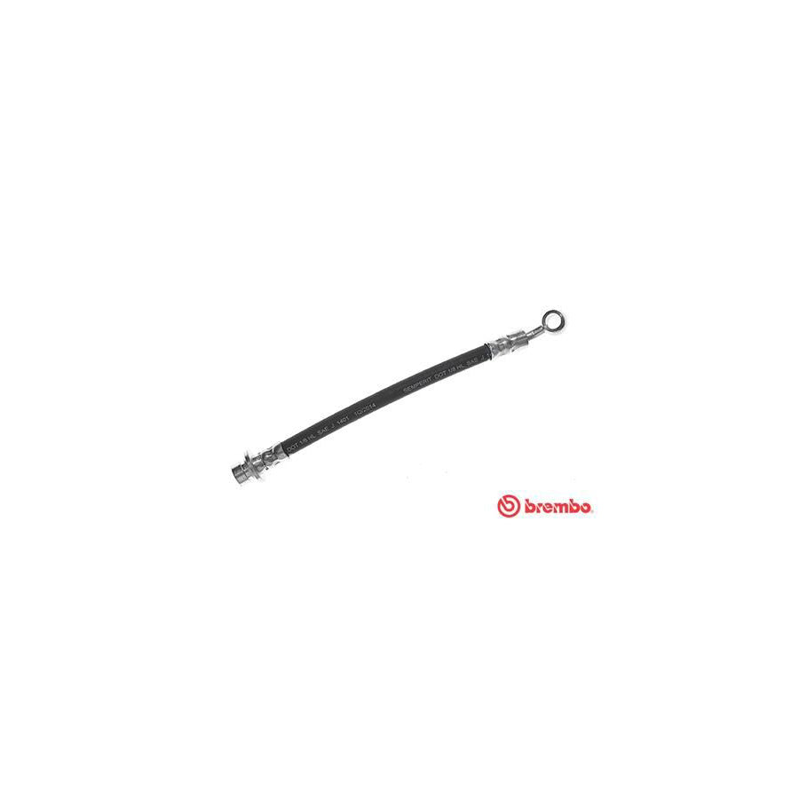 BREMBO T 28 033 Brake Hose 225Mm F10X1