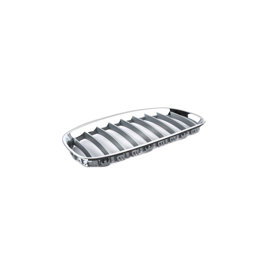 Genuine BMW 51137181548 E89 Grille Right ALU MATT (Inc. Z4) | Duco Car Parts UK Car Parts