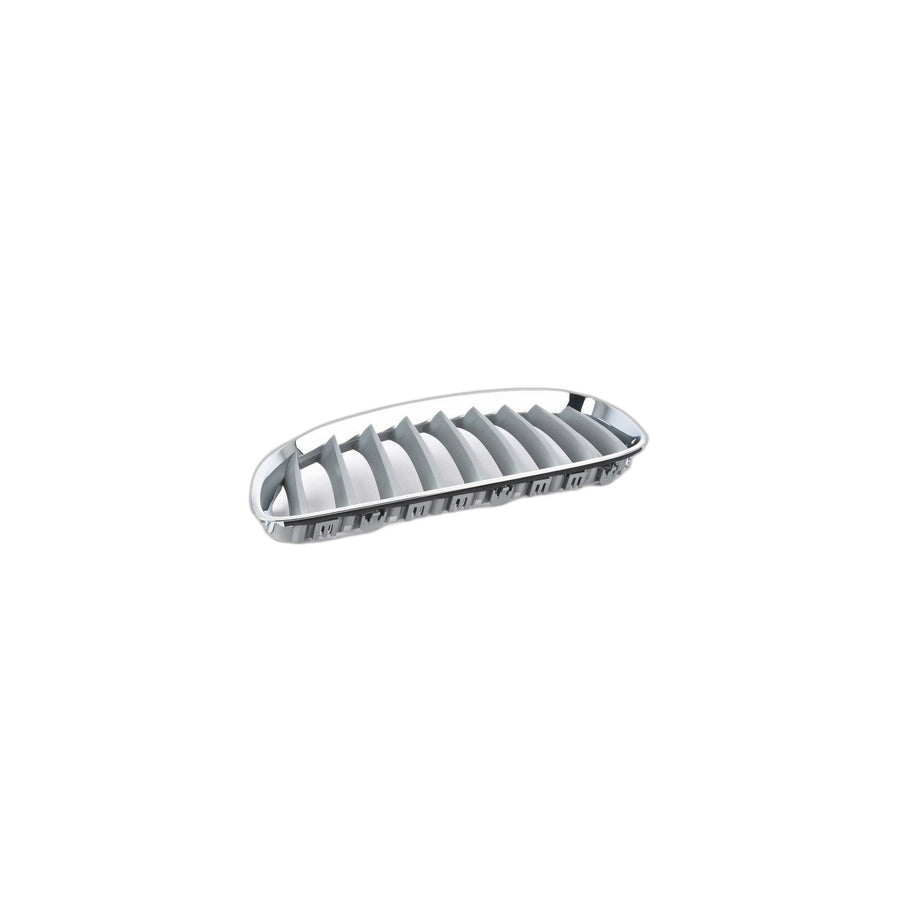 Genuine BMW 51137181547 E89 Grille Left ALU MATT (Inc. Z4) | Duco Car Parts UK Car Parts