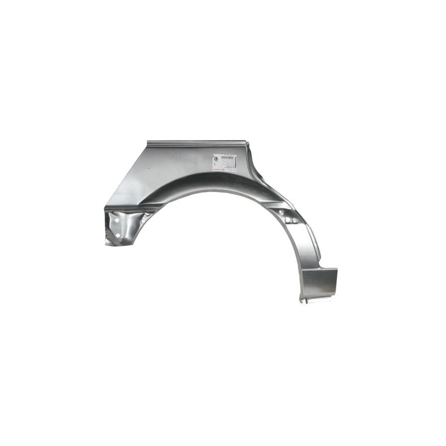 BLIC 6508-04-1617701PP Trim / Protective Strip, roof for NISSAN Qashqai / Qashqai+2 I (J10, NJ10)