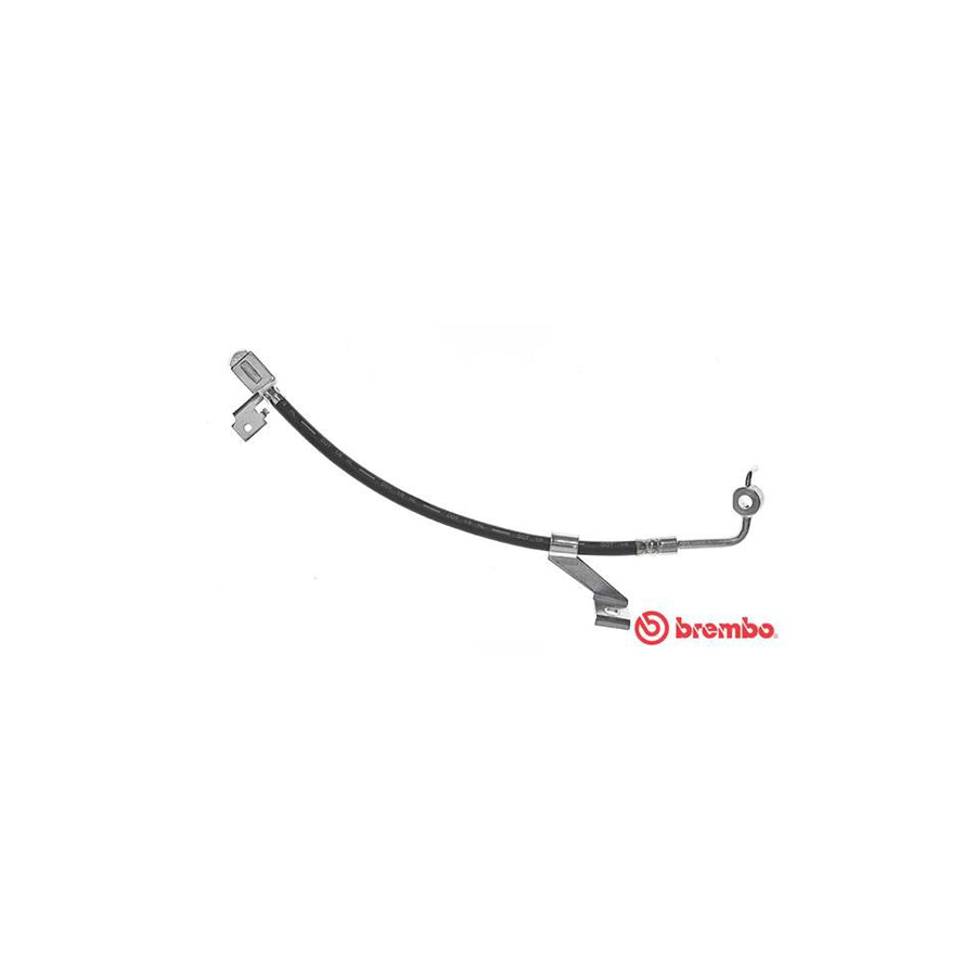 BREMBO T 24 076 Brake Hose for FORD ESCORT 315Mm F10X1