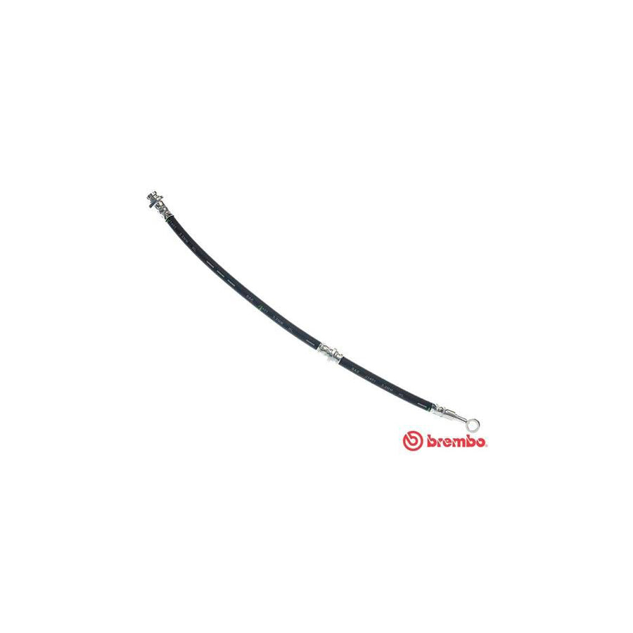 BREMBO T 59 024 Brake Hose 443Mm F10X1