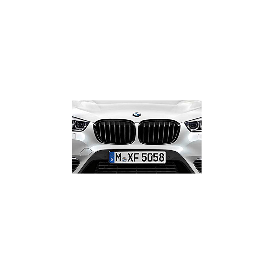 Genuine BMW F45 F46 M Performance Front Kidney Grilles - Pair (Inc. 218i, 220d, 225i & 225xe)