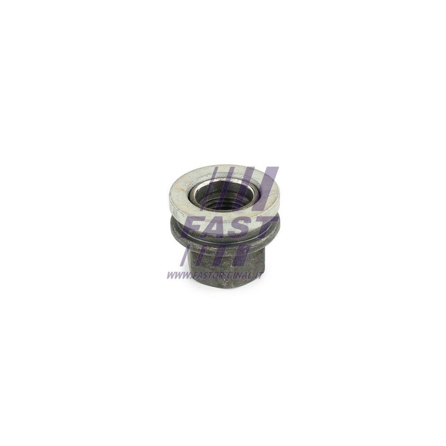 FAST FT21526 Wheel Nut