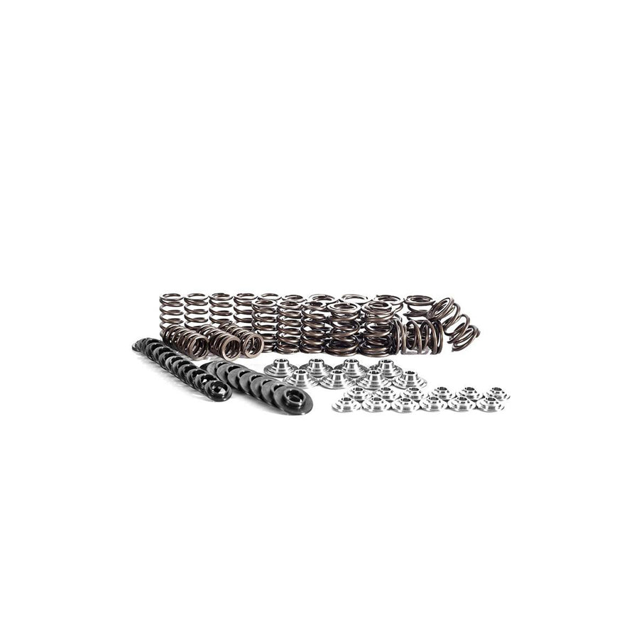 Integrated Engineering Ferrea Audi VW 1.8T Valve Spring/Retainer Kit
