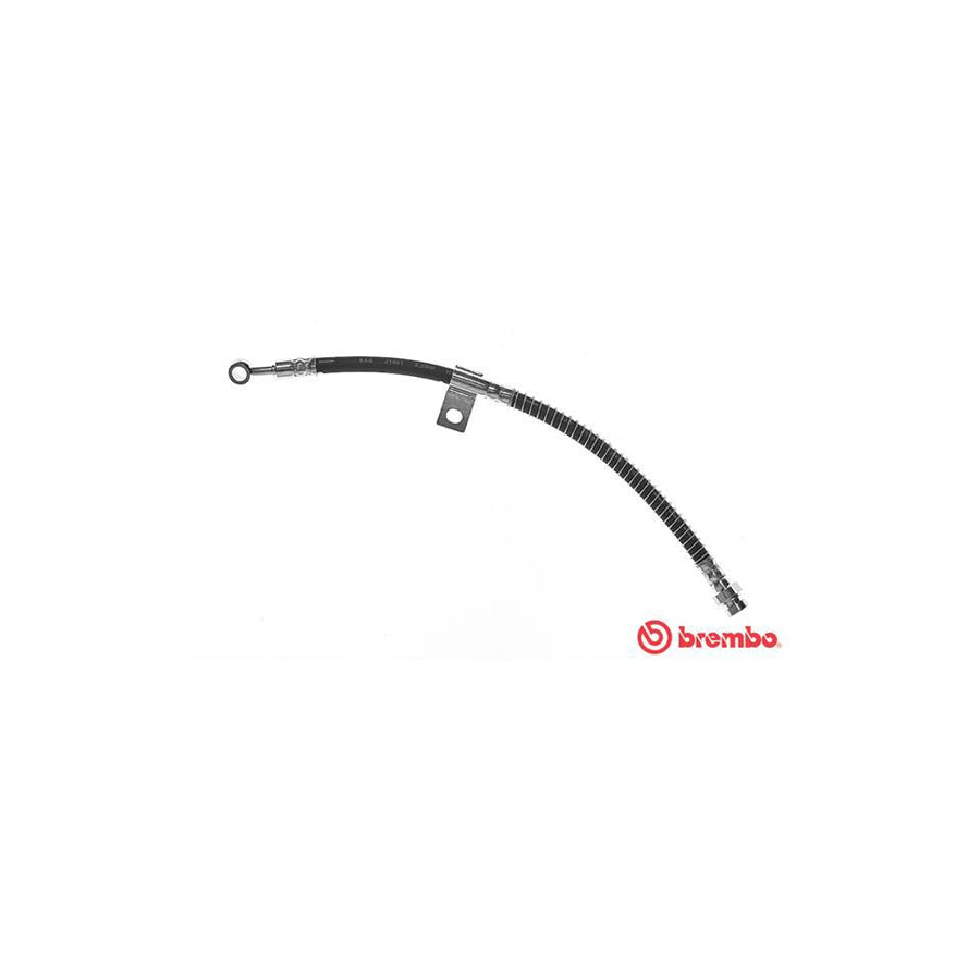 BREMBO T 30 017 Brake Hose 385Mm F10X1