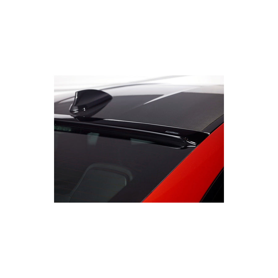 AC Schnitzer BMW F30 F80 Roof Spoiler (Inc. 320i, 330i, 340i & M3)
