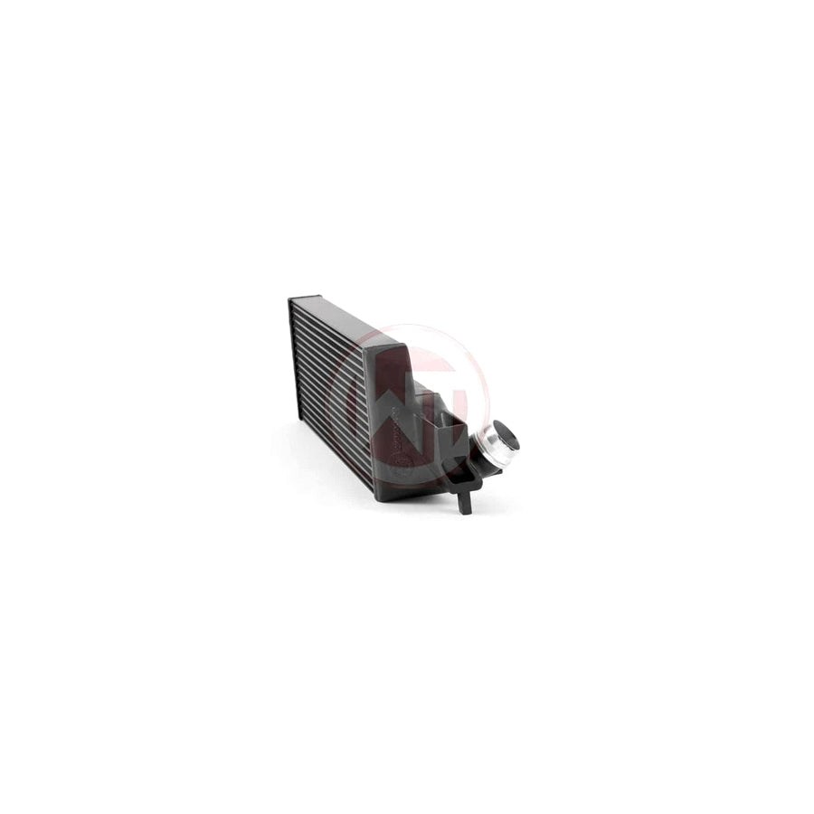 Wagner Mini F54/F55/F56 Competition Intercooler