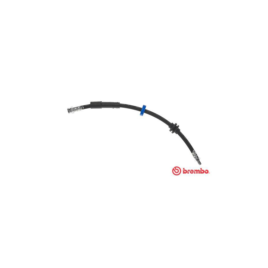 BREMBO T 23 180 Brake Hose 425Mm F10X1