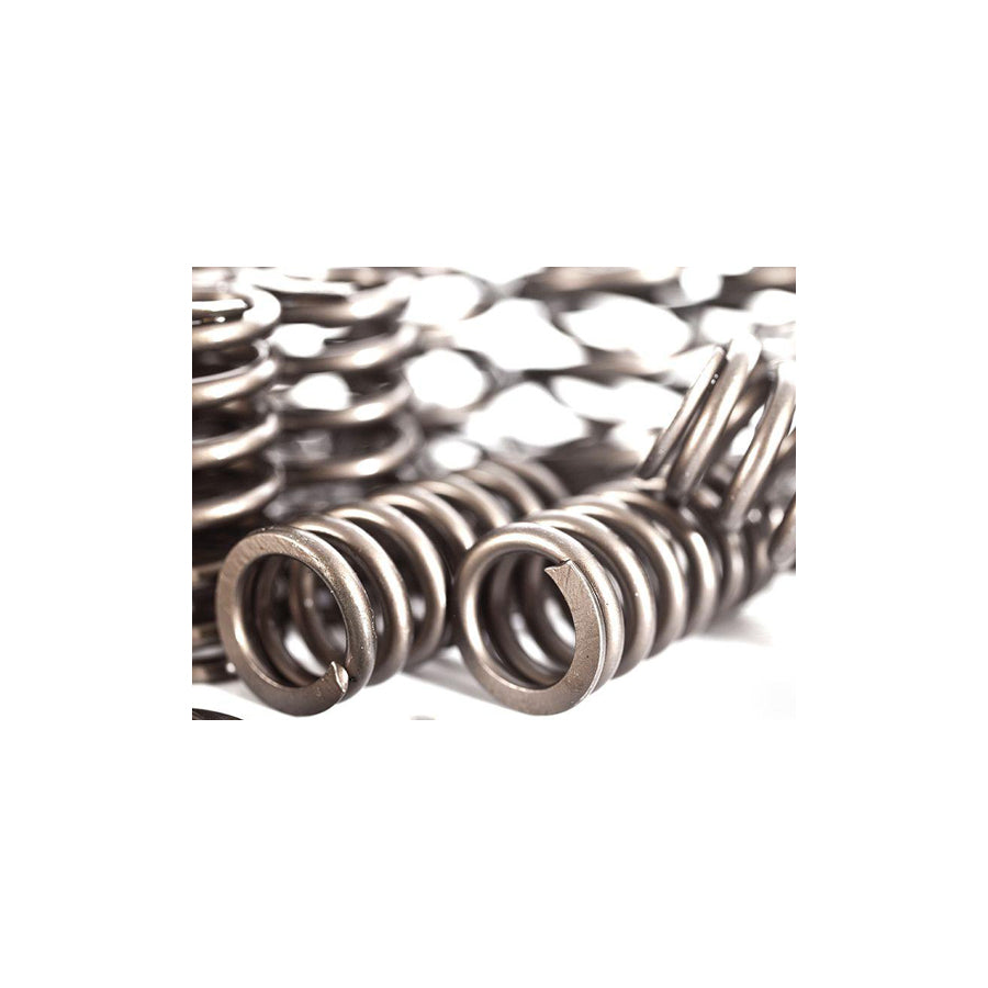 Integrated Engineering Audi Volkswagen 1.8T 20V Valve Spring/Retainer Kit (A4, A6, Golf & Jetta)