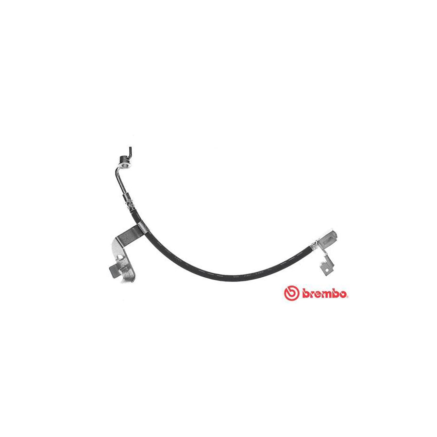 BREMBO T 24 081 Brake Hose for FORD ESCORT 450Mm F10X1